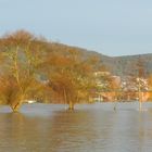 Hochwasser zu Weihnachten 2012 - Lohr am Main