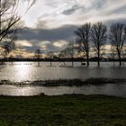 Hochwasser zwischen Hitdorf und Rheindorf