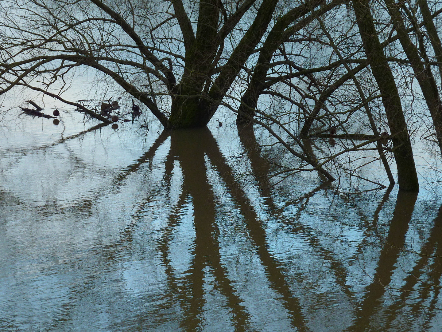 Hochwasser...4