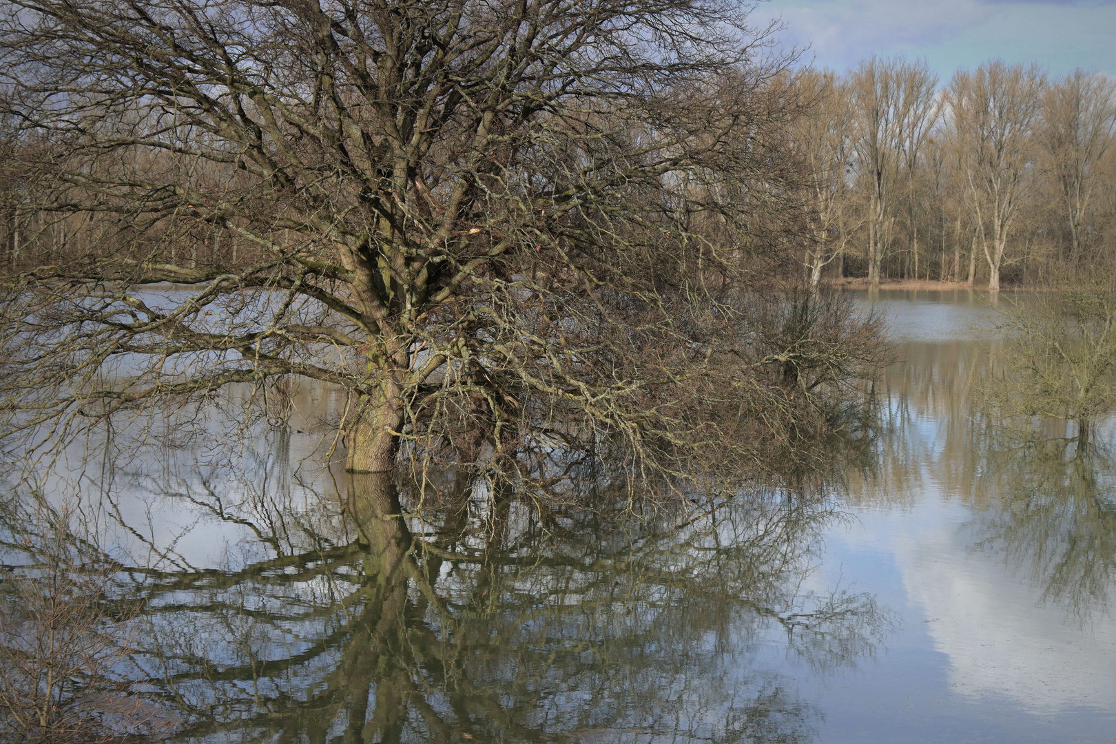 Hochwasser...(5)