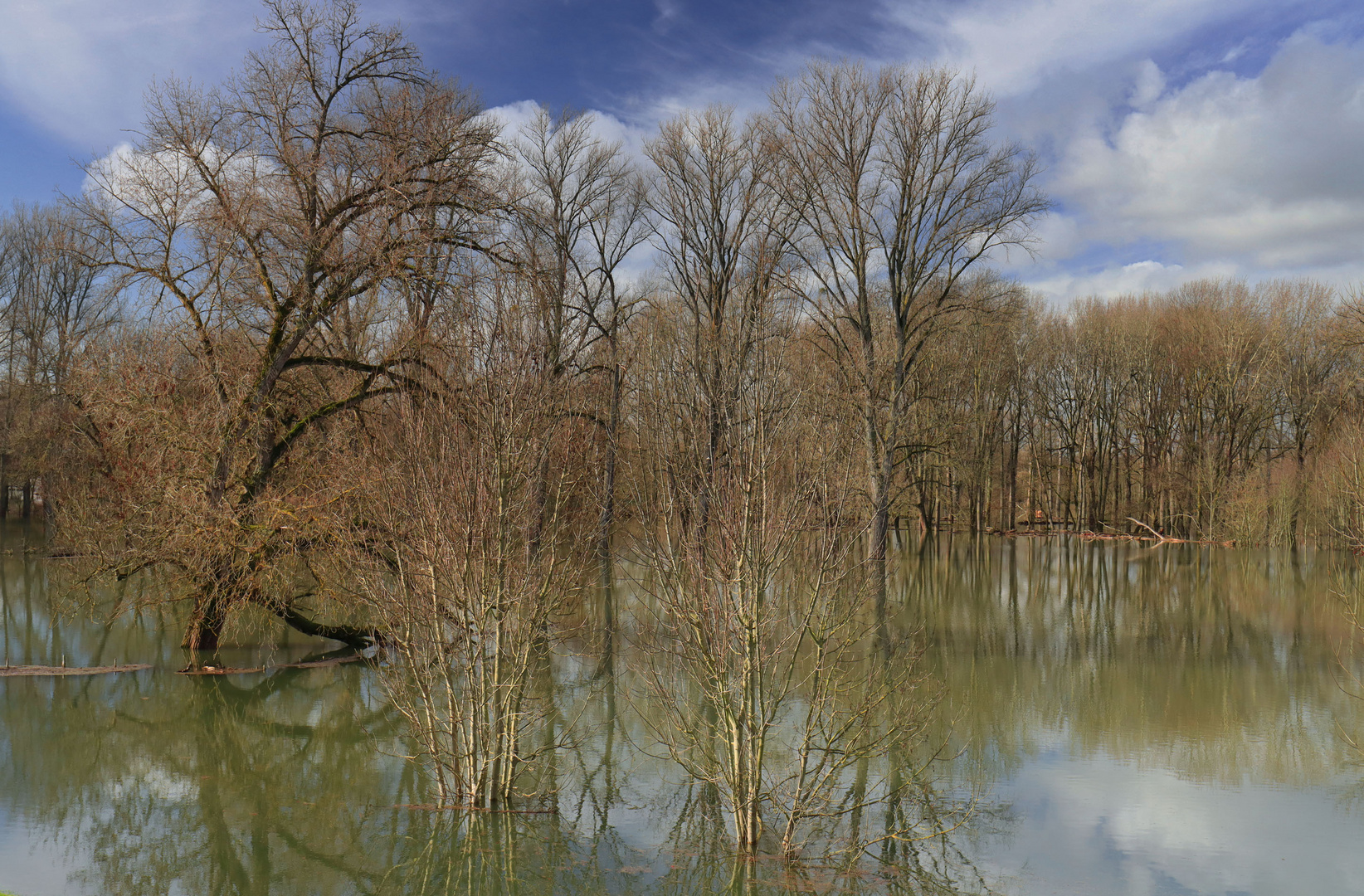 Hochwasser...(6)