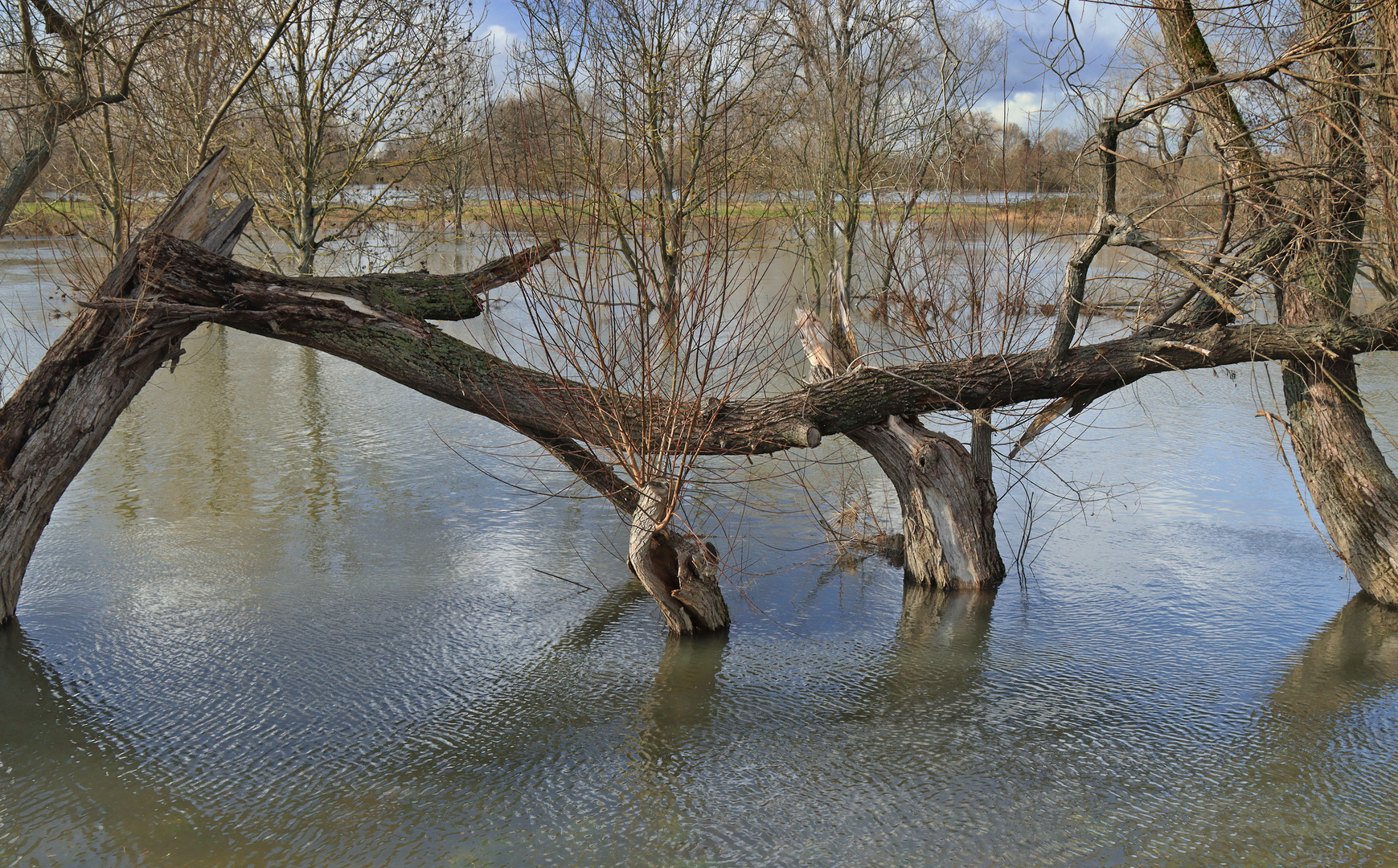 Hochwasser...(8)