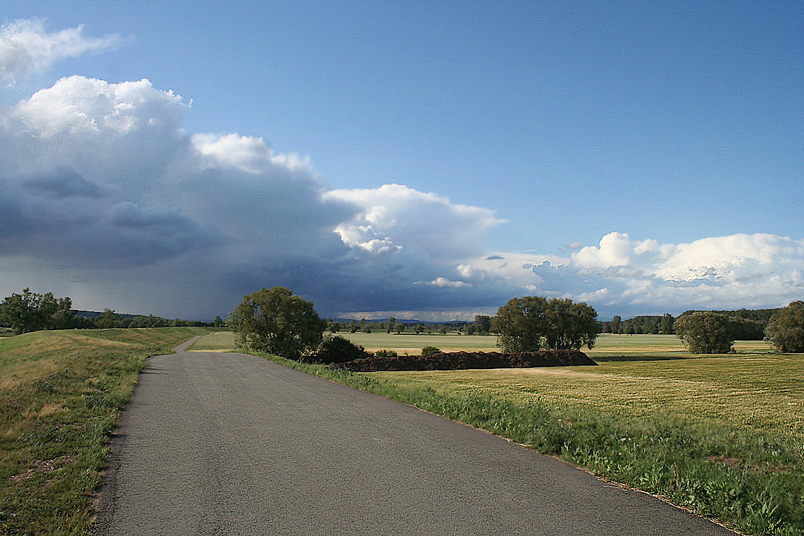 Hochwasserdamm bei Bodenheim am Rhein