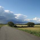 Hochwasserdamm bei Bodenheim am Rhein