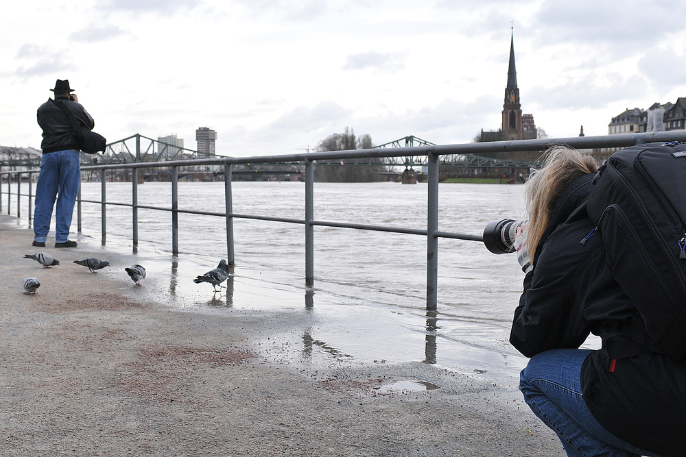 Hochwasserfotografie am Uferrand