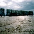 Hochwasserimpressionen Xanten / Niederrhein