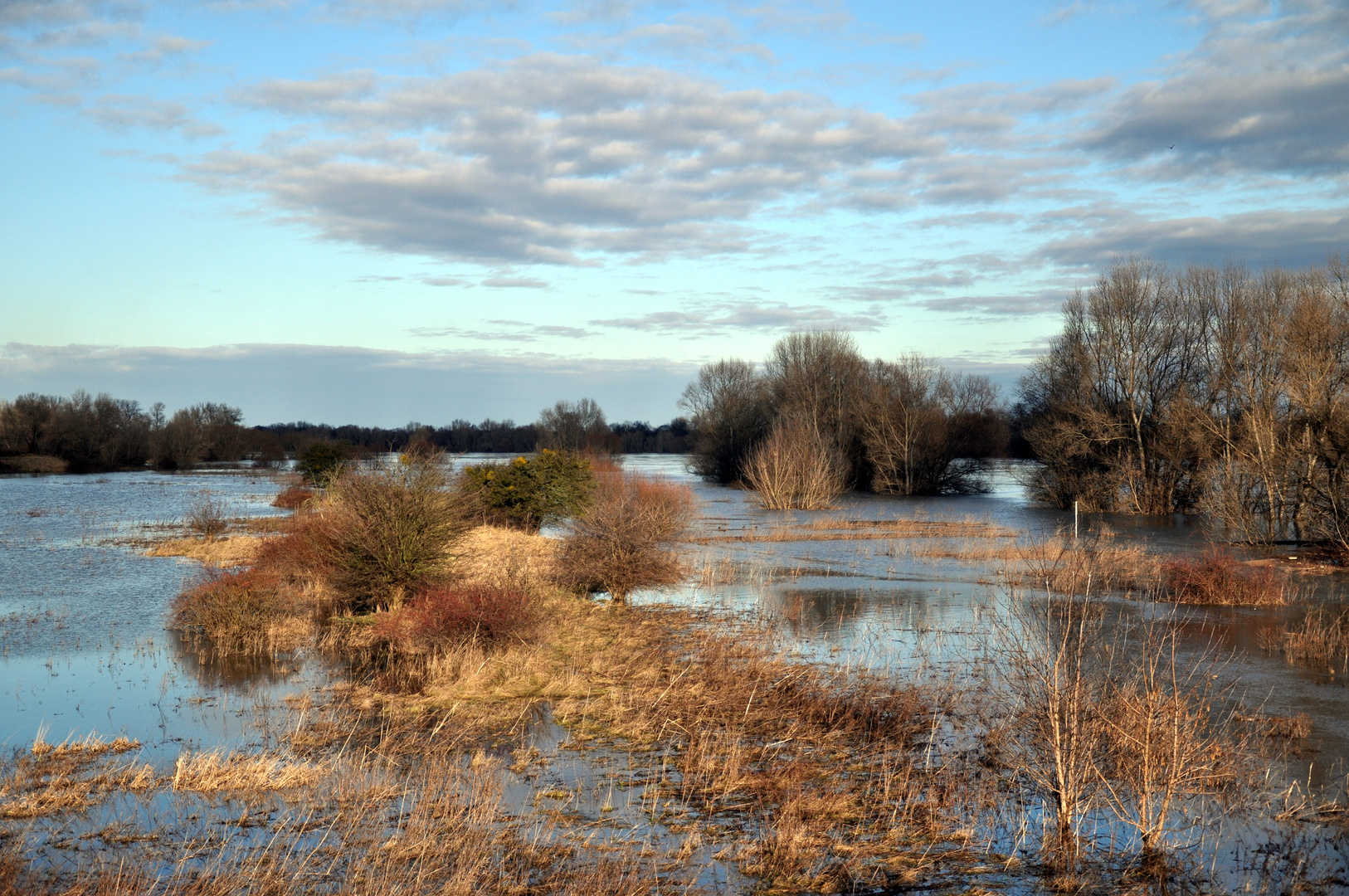 Hochwasserlandschaft