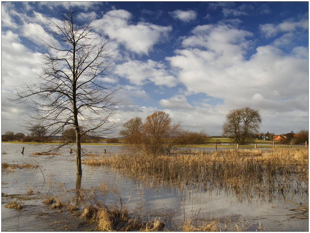 Hochwasserlandschaft in der Leinemasch