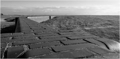 Hochwassermauer mit Aussicht