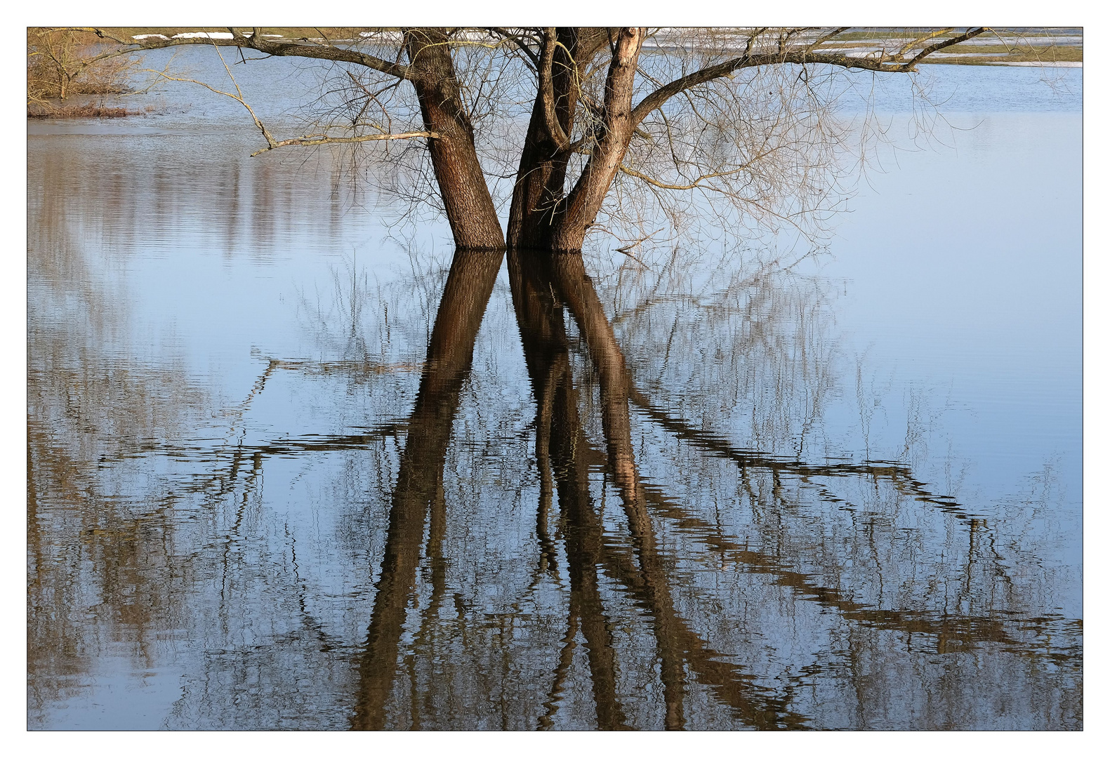 hochwasser.spiegel