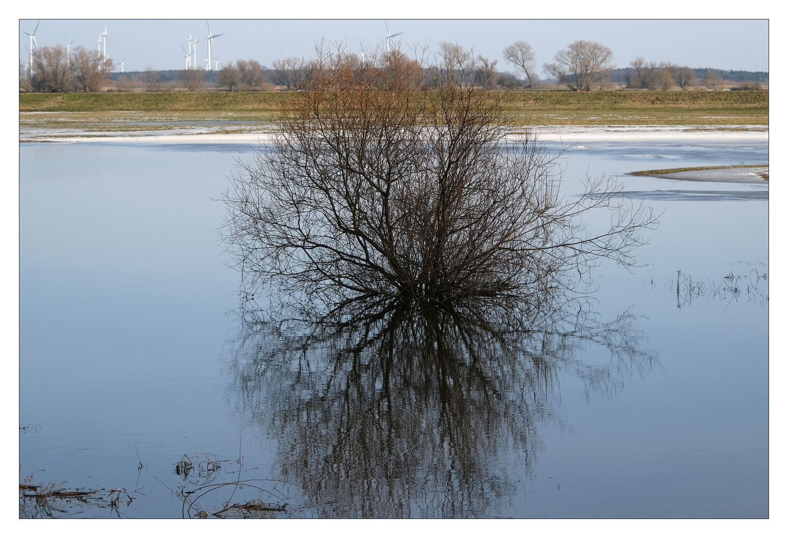 hochwasser.spiegel