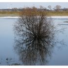 hochwasser.spiegel