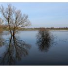 hochwasser.spiegel