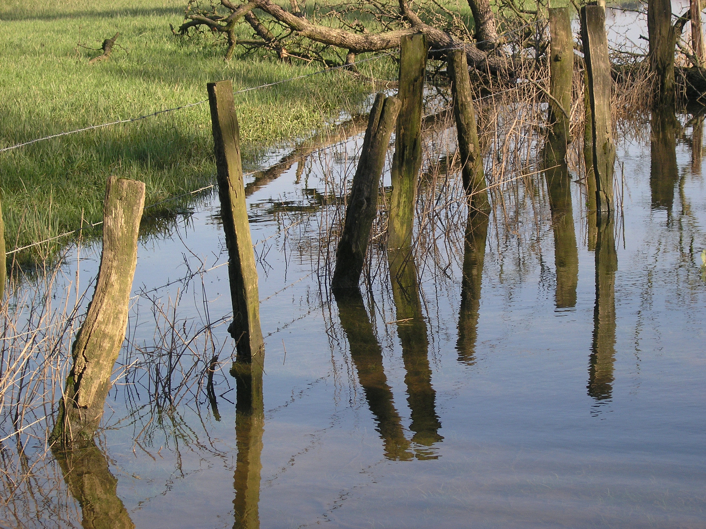 Hochwasserspiegel(ung) . . .