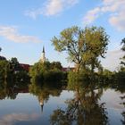 Hochwasserspiegelung bei Coswig (Anhalt)