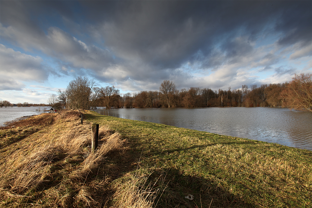 Hochwasserstimmungen Rhein/Sieg (1)