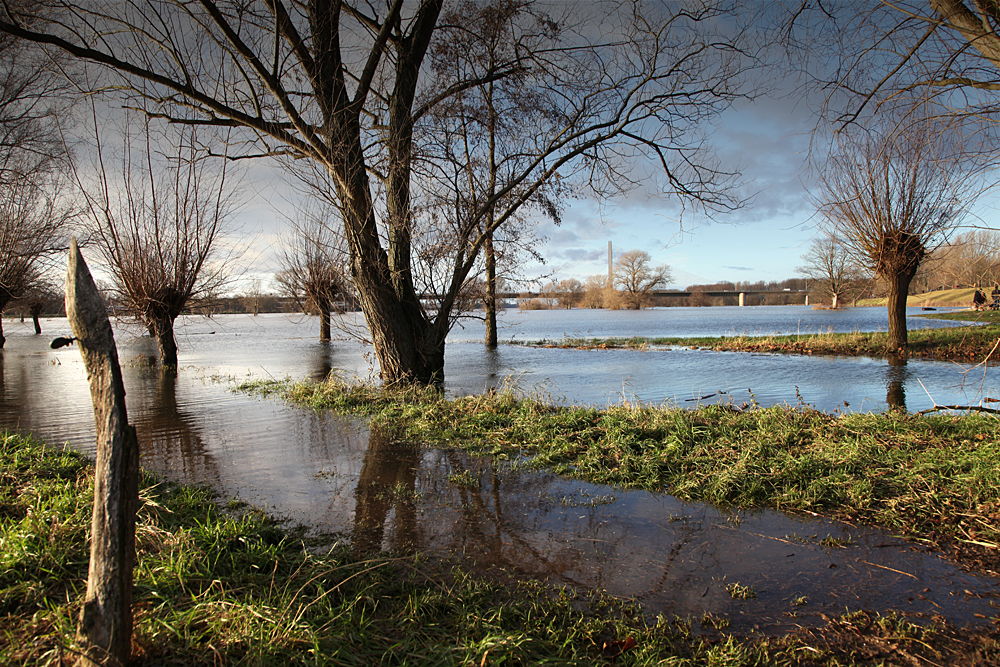 Hochwasserstimmungen Rhein/Sieg (10)