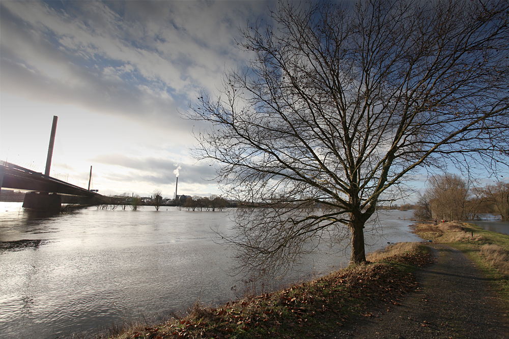 Hochwasserstimmungen Rhein/Sieg (3)