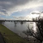 Hochwasserstimmungen Rhein/Sieg (4)