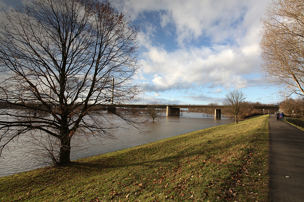 Hochwasserstimmungen Rhein/Sieg (7)