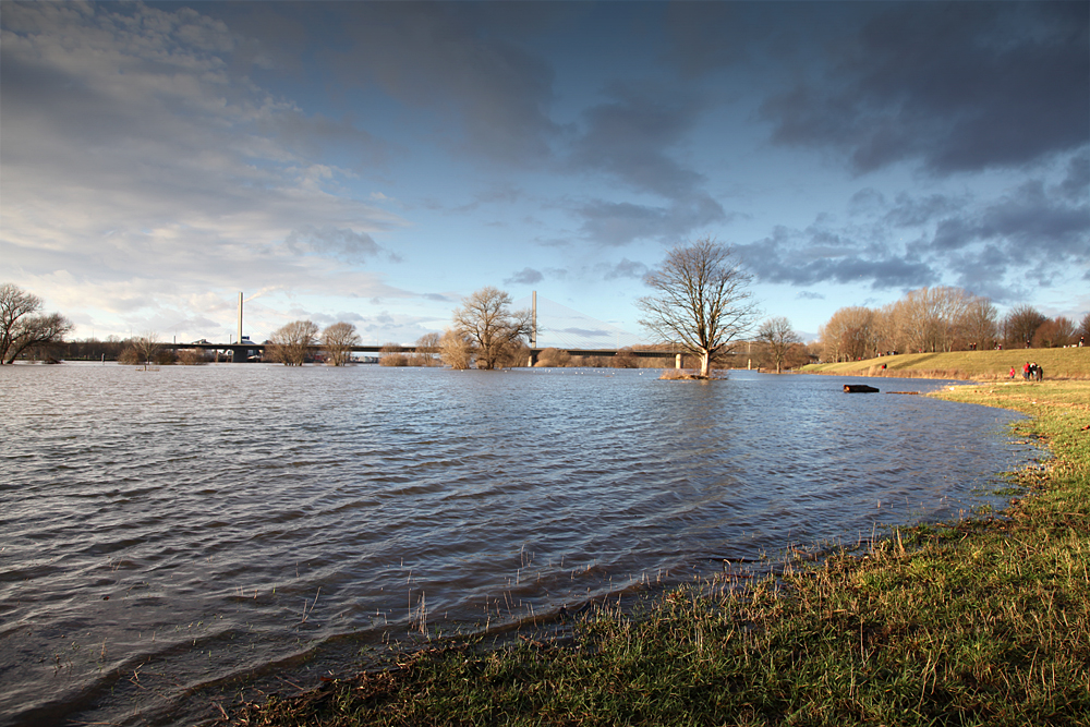 Hochwasserstimmungen Rhein/Sieg (8)