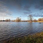 Hochwasserstimmungen Rhein/Sieg (8)