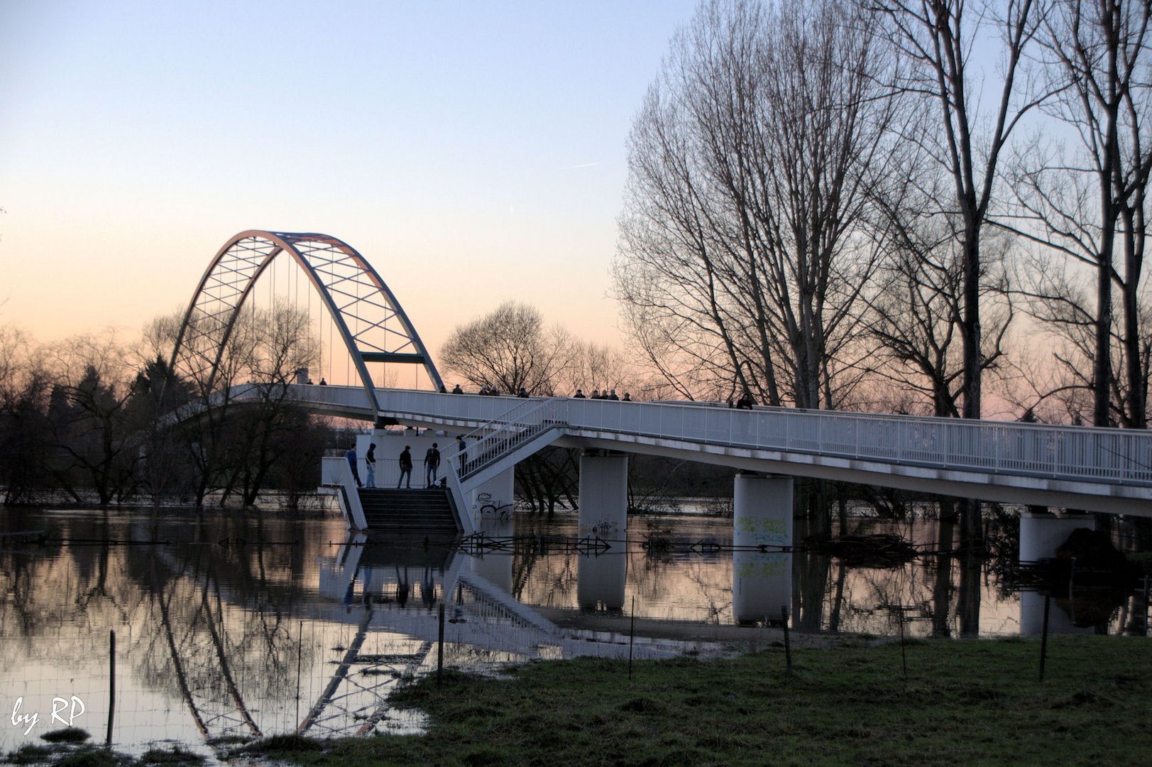 Hochwassertourismus am Main bei Dettingen