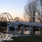 Hochwassertourismus am Main bei Dettingen