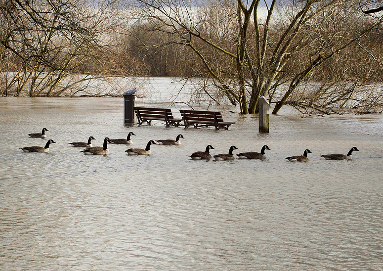 Hochwassertouristen...