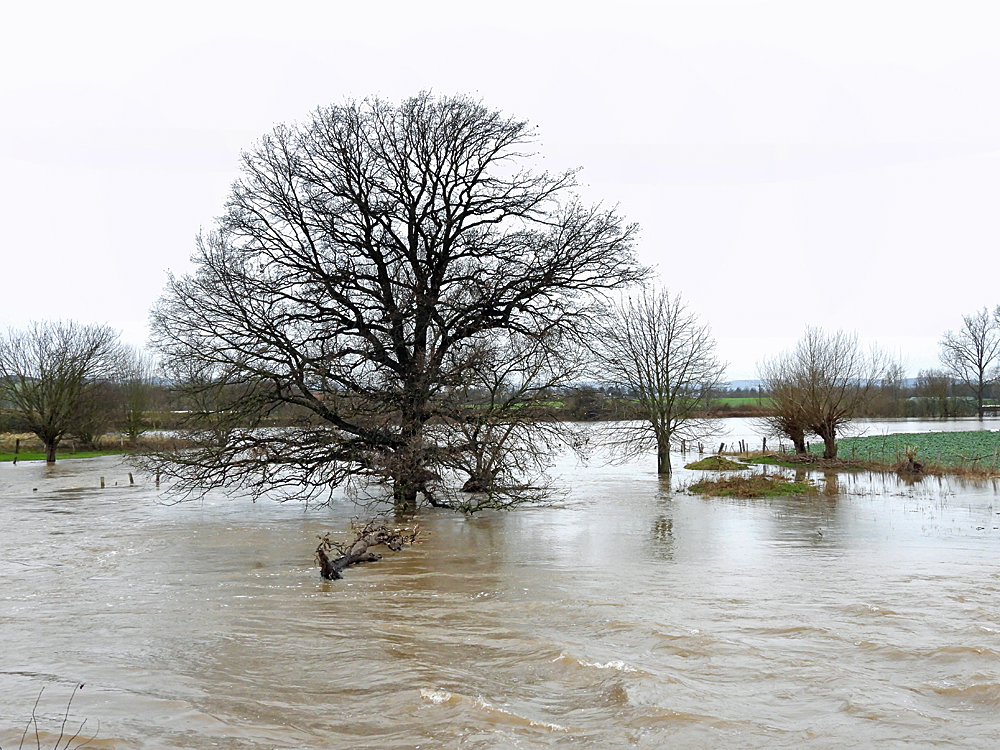 Hochwasser...und kein Ende in Sicht...