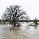 Hochwasser...und kein Ende in Sicht...