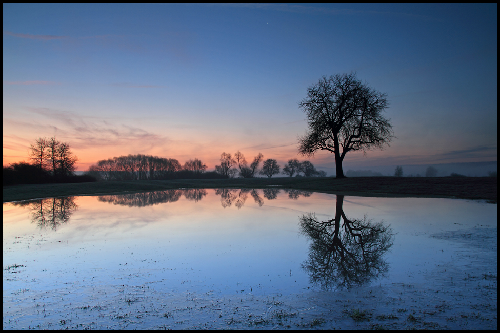 Hochwasserwiese I