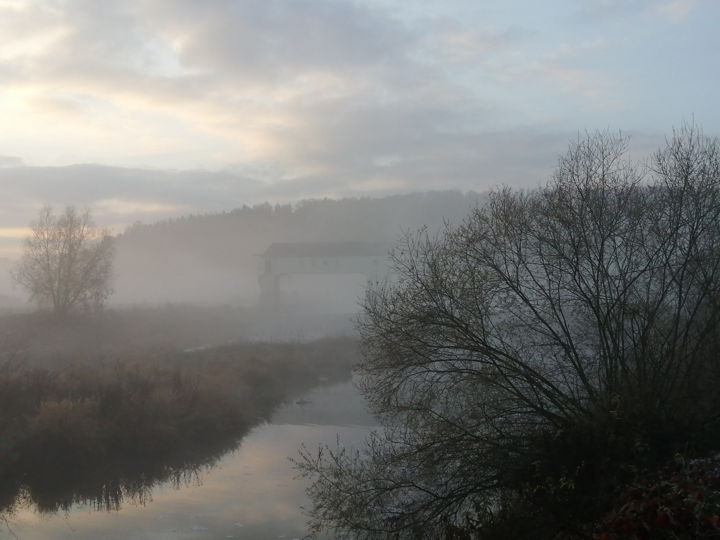 Hochwehr im Nebel 