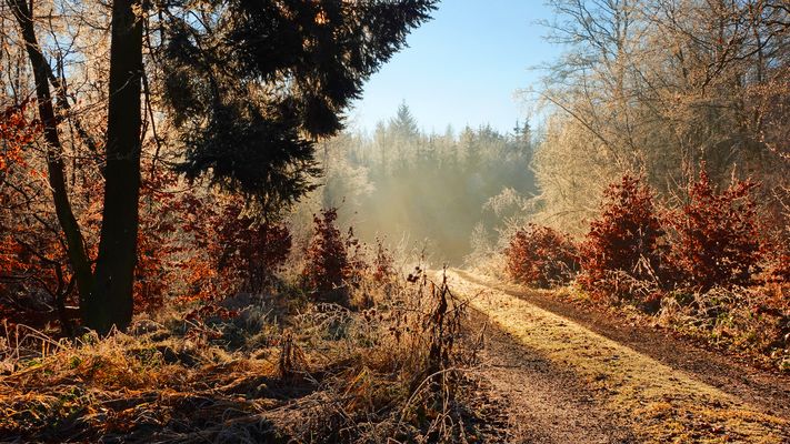 Hochwinter 2025 - Inversion 2025