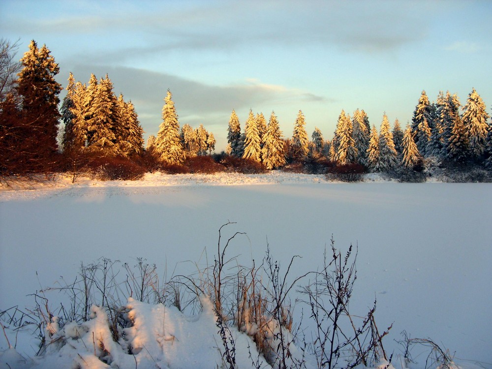 Hochwinter am Forellenteich - Abendstimmung....