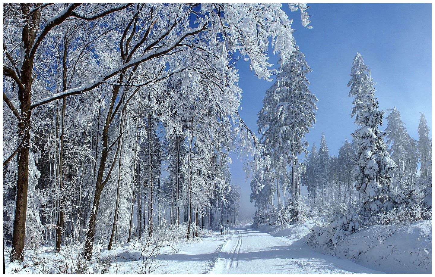 Hochwinter am Waldstein