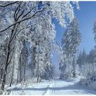 Hochwinter am Waldstein