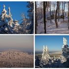 Hochwinter am Waldstein