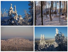 Hochwinter am Waldstein