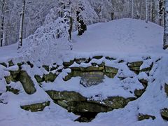 Hochwinter an der Saalequelle