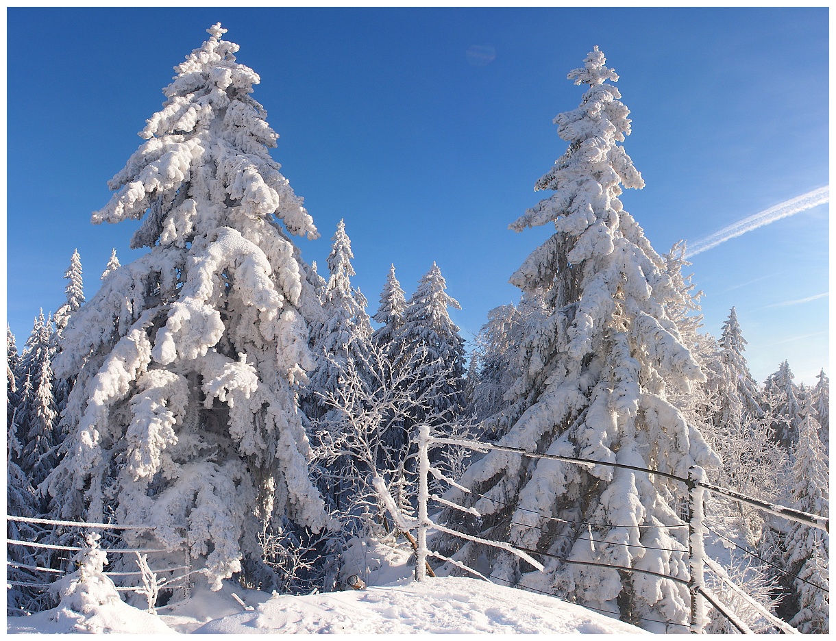 Hochwinter auf dem Arnsteinfels