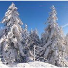 Hochwinter auf dem Arnsteinfels