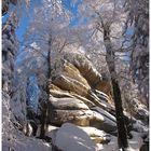 Hochwinter auf dem großen Waldstein