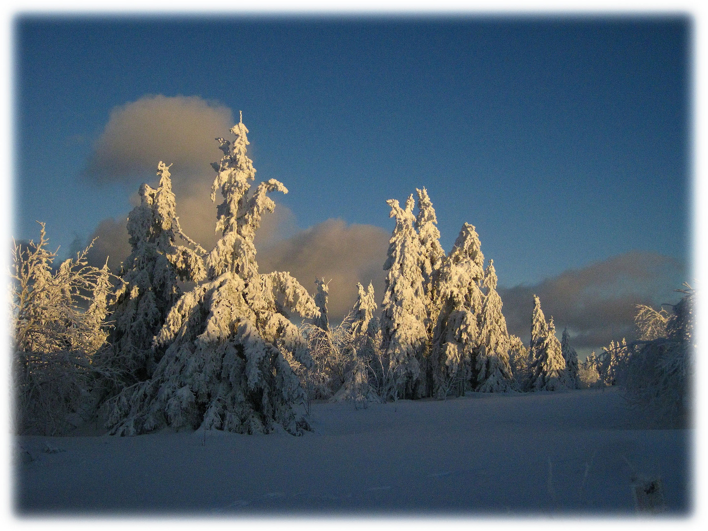 Hochwinter auf dem Schneeberg