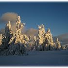 Hochwinter auf dem Schneeberg