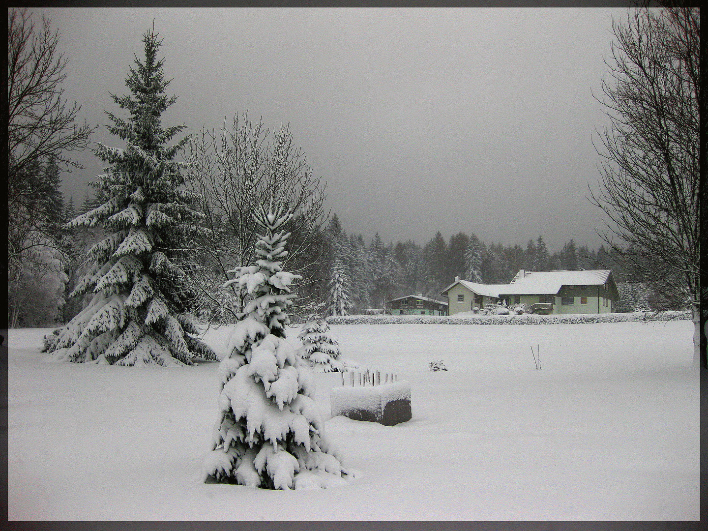 Hochwinter im Fichtelgebirge