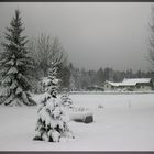 Hochwinter im Fichtelgebirge