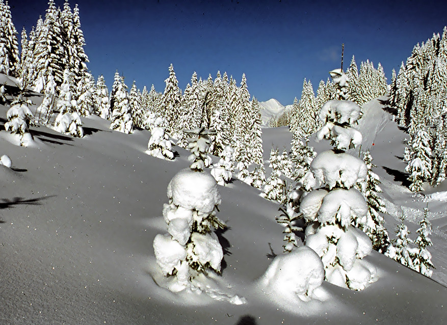 Hochwinter im Gosautal/Oberösterreich