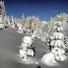 Hochwinter im Gosautal/Oberösterreich