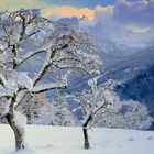 Hochwinter in den Alpen 